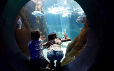 Best Indoor Activities for Kids on a Rainy Day